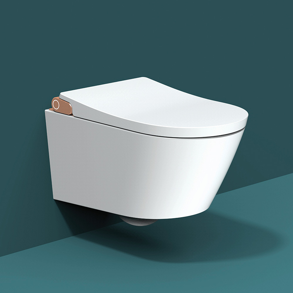 Wall hanging Intelligent toilet with inwall cistern