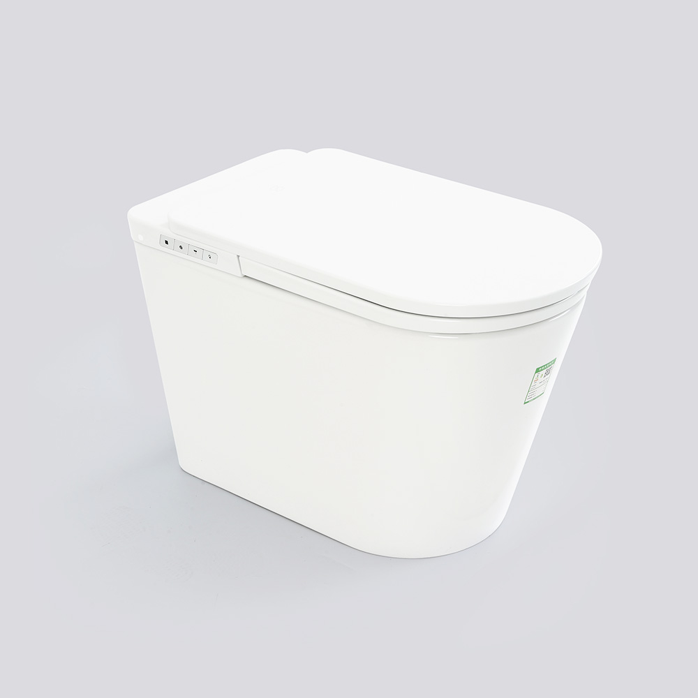 One-piece powerful flushing tankless intelligent toilet upgrade version 2.0.